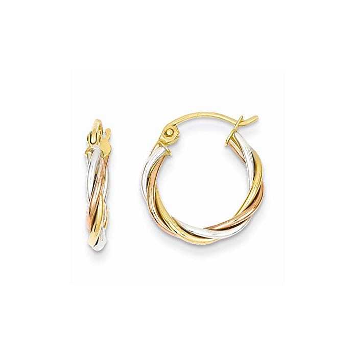 14k Tri-color Polished 2.5mm Twisted Hoop Earrings